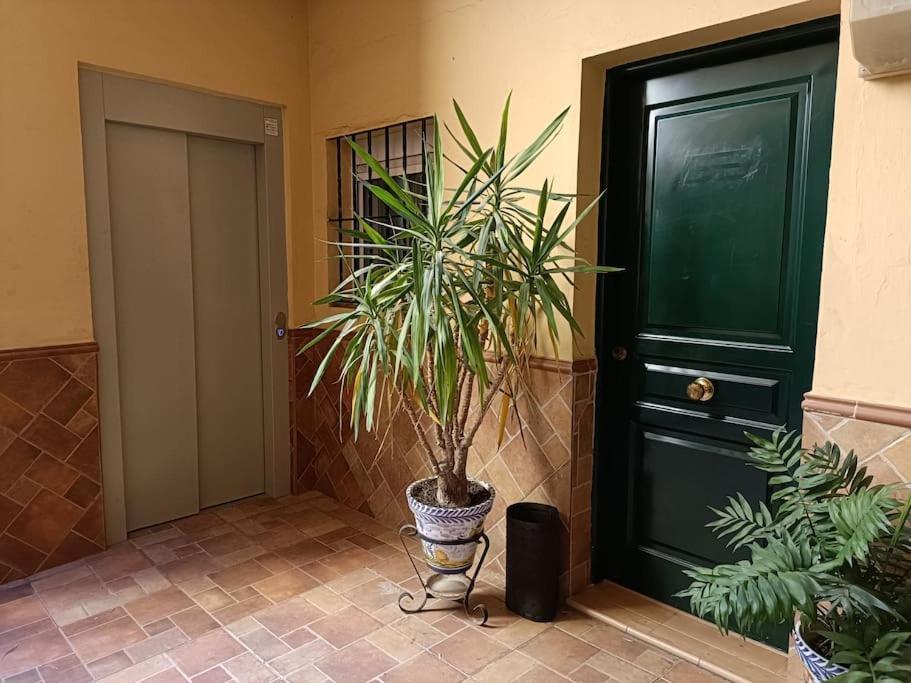 Triana Stay Seville Exterior photo